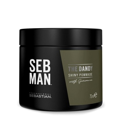 Sebastian Professional Seb Man Dandy Pomade 75ml