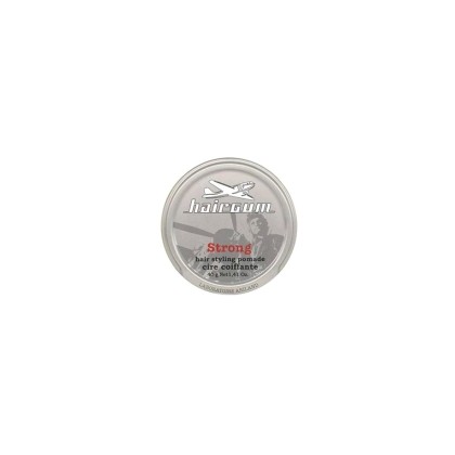 Hairgum Strong Pomade Small 40gr