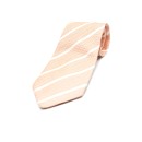 Ανδρικό Πολύχρωμο Diagonal Stripe Tie